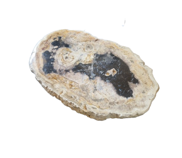 Versteinertes Holz Designlampe mit Dual-White LED-Technik - 2700K (Warmweiß) & 6500K (Tageslichtweiß) - Modell #104 - Energieeffiziente Beleuchtung für stilvolle Innenräume Versteinertes Holz Designlampe mit Dual-White LED-Technik - 2700K (Warmweiß) & 6500K (Tageslichtweiß) - Modell #104 - Energieeffiziente Beleuchtung für stilvolle Innenräume