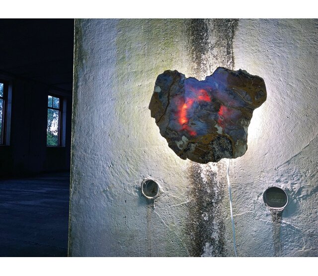 Versteinertes Holz Design Lampe mit Dual-White LED Streifen - 2700K & 6500K - 2-in-1 Farbtemperatur - Modell #106 - Energieeffiziente Beleuchtung für stilvolles Ambiente Versteinertes Holz Design Lampe mit Dual-White LED Streifen - 2700K & 6500K - 2-in-1 Farbtemperatur - Modell #106 - Energieeffiziente Beleuchtung für stilvolles Ambiente