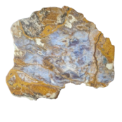 Versteinertes Holz Design Lampe mit Dual-White LED Streifen - 2700K & 6500K - 2-in-1 Farbtemperatur - Modell #106 - Energieeffiziente Beleuchtung für stilvolles Ambiente Versteinertes Holz Design Lampe mit Dual-White LED Streifen - 2700K & 6500K - 2-in-1 Farbtemperatur - Modell #106 - Energieeffiziente Beleuchtung für stilvolles Ambiente