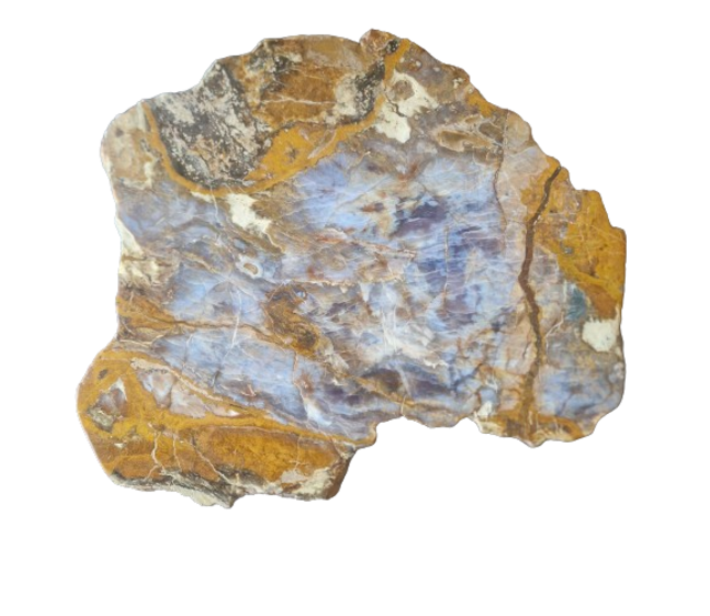 Versteinertes Holz Design Lampe mit Dual-White LED Streifen - 2700K & 6500K - 2-in-1 Farbtemperatur - Modell #106 - Energieeffiziente Beleuchtung für stilvolles Ambiente Versteinertes Holz Design Lampe mit Dual-White LED Streifen - 2700K & 6500K - 2-in-1 Farbtemperatur - Modell #106 - Energieeffiziente Beleuchtung für stilvolles Ambiente