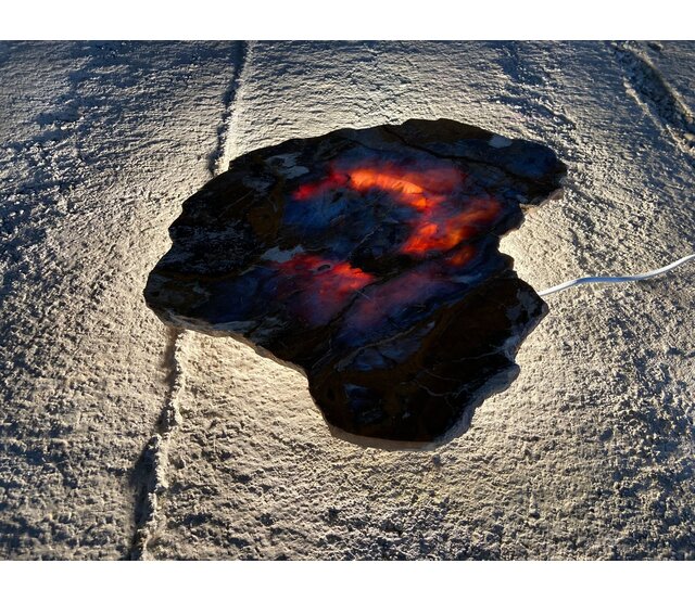 Versteinertes Holz Design Lampe mit Dual-White LED Streifen - 2700K & 6500K - 2-in-1 Farbtemperatur - Modell #106 - Energieeffiziente Beleuchtung für stilvolles Ambiente Versteinertes Holz Design Lampe mit Dual-White LED Streifen - 2700K & 6500K - 2-in-1 Farbtemperatur - Modell #106 - Energieeffiziente Beleuchtung für stilvolles Ambiente