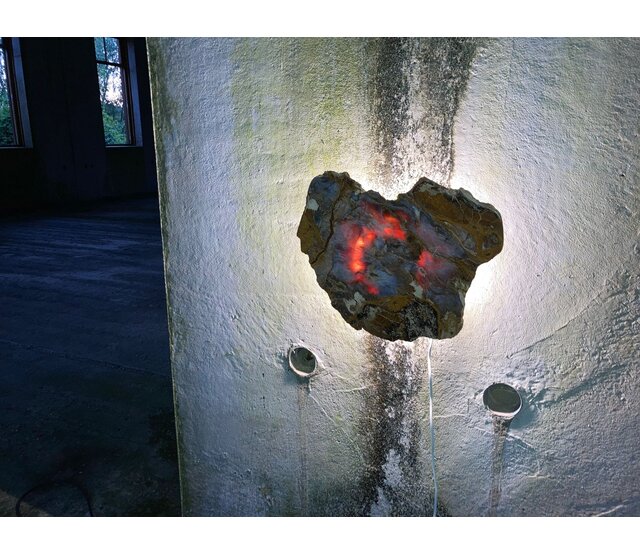 Versteinertes Holz Design Lampe mit Dual-White LED Streifen - 2700K & 6500K - 2-in-1 Farbtemperatur - Modell #106 - Energieeffiziente Beleuchtung für stilvolles Ambiente Versteinertes Holz Design Lampe mit Dual-White LED Streifen - 2700K & 6500K - 2-in-1 Farbtemperatur - Modell #106 - Energieeffiziente Beleuchtung für stilvolles Ambiente