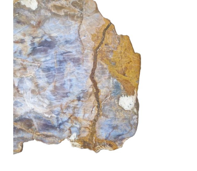 Versteinertes Holz Design Lampe mit Dual-White LED Streifen - 2700K & 6500K - 2-in-1 Farbtemperatur - Modell #106 - Energieeffiziente Beleuchtung für stilvolles Ambiente Versteinertes Holz Design Lampe mit Dual-White LED Streifen - 2700K & 6500K - 2-in-1 Farbtemperatur - Modell #106 - Energieeffiziente Beleuchtung für stilvolles Ambiente