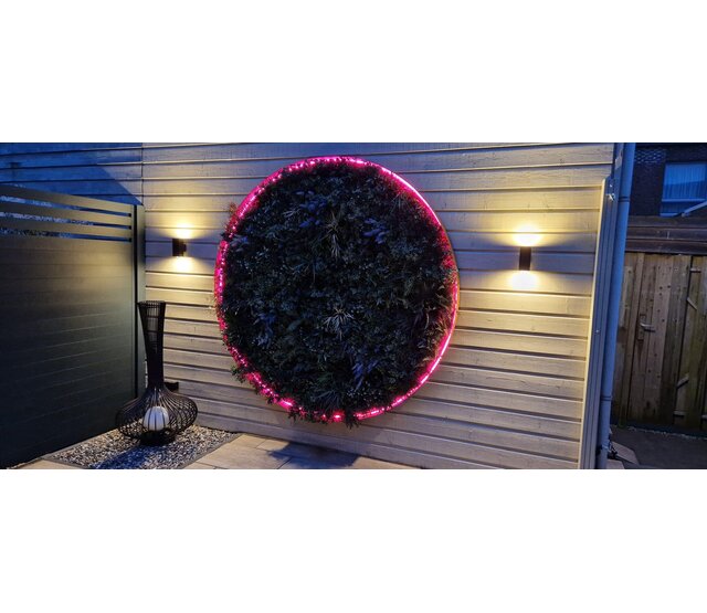 Neon Flex LED Streifen 12V RGB 14,4W 850LM 8x16mm IP67 – 5m | Wasserdichter RGB-LED-Streifen mit hoher Helligkeit für Innen- und Außenbereich Neon Flex LED Streifen 12V RGB 14,4W 850LM 8x16mm IP67 – 5m | Wasserdichter RGB-LED-Streifen mit hoher Helligkeit für Innen- und Außenbereich