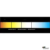 LED Streifen 24 Volt 6000K Kaltweiß 6W 630lm/m 60 LEDs/m IP20 50M Rolle – Hochwertige Beleuchtung für Innenräume LED Streifen 24 Volt 6000K Kaltweiß 6W 630lm/m 60 LEDs/m IP20 50M Rolle – Hochwertige Beleuchtung für Innenräume