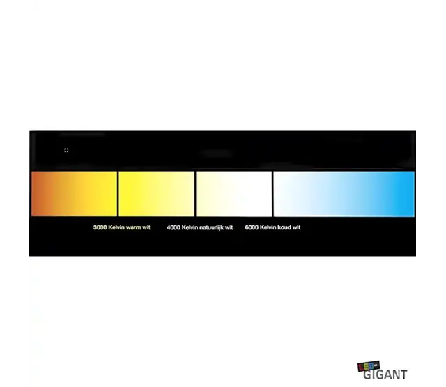 LED Streifen 24 Volt 6000K Kaltweiß 6W 630lm/m 60 LEDs/m IP20 50M Rolle – Hochwertige Beleuchtung für Innenräume LED Streifen 24 Volt 6000K Kaltweiß 6W 630lm/m 60 LEDs/m IP20 50M Rolle – Hochwertige Beleuchtung für Innenräume