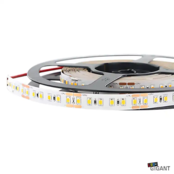 LED Streifen 12 Volt 6000K Kaltweiß 9,6W 1020 Lumen 120 LEDs pro Meter IP20 – 5 Meter Rollenware für Innenraumbeleuchtung LED Streifen 12 Volt 6000K Kaltweiß 9,6W 1020 Lumen 120 LEDs pro Meter IP20 – 5 Meter Rollenware für Innenraumbeleuchtung