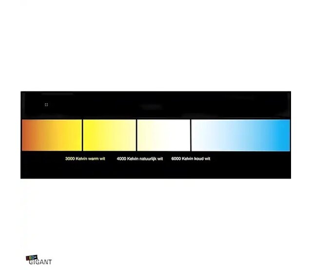 LED Streifen 12V 6000K Kaltweiß 12W 1260LM 60LED/m IP20 5m – Energieeffizienter LED-Leuchtstreifen für Innenräume, 5 Meter lang, 60 LEDs pro Meter, 1260 Lumen, 6000 Kelvin Kaltweiß, 12 Watt, IP20 Schutzklasse