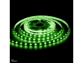 Grüner LED Streifen 5m | 4,8W | 500lm | 12V | Energiesparend & flexibel