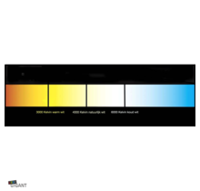 LED Streifen 24V 6000K Kaltweiß 12W 1260LM 60LED/m IP20 5m – Hochwertige Beleuchtung für Innenräume