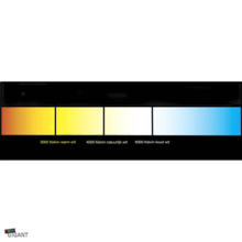 LED Streifen 24V 6000K Kaltweiß 12W 1260LM 60LED/m IP20 – 5m