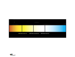 LED Streifen 24V 6000K Kaltweiß 12W 1260LM 60LED/m IP20 – 5m