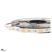 LED Streifen 24 Volt 6000K Kaltweiß 9,6W 1020LM 120LED/m IP20 – 5 Meter, energieeffizient & hochwertig für Innenbeleuchtung LED Streifen 24 Volt 6000K Kaltweiß 9,6W 1020LM 120LED/m IP20 – 5 Meter, energieeffizient & hochwertig für Innenbeleuchtung