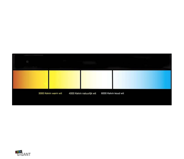 LED Streifen 24V - Naturweiß