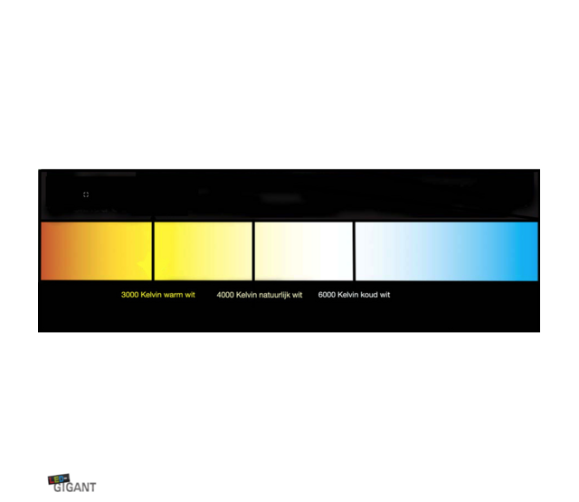 LED Streifen 24 Volt 4000K Neutralweiß 12W 1260lm/m 60 LEDs/m IP20 5M Rolle – Energieeffizient & Hochwertig für Innenbeleuchtung LED Streifen 24 Volt 4000K Neutralweiß 12W 1260lm/m 60 LEDs/m IP20 5M Rolle – Energieeffizient & Hochwertig für Innenbeleuchtung
