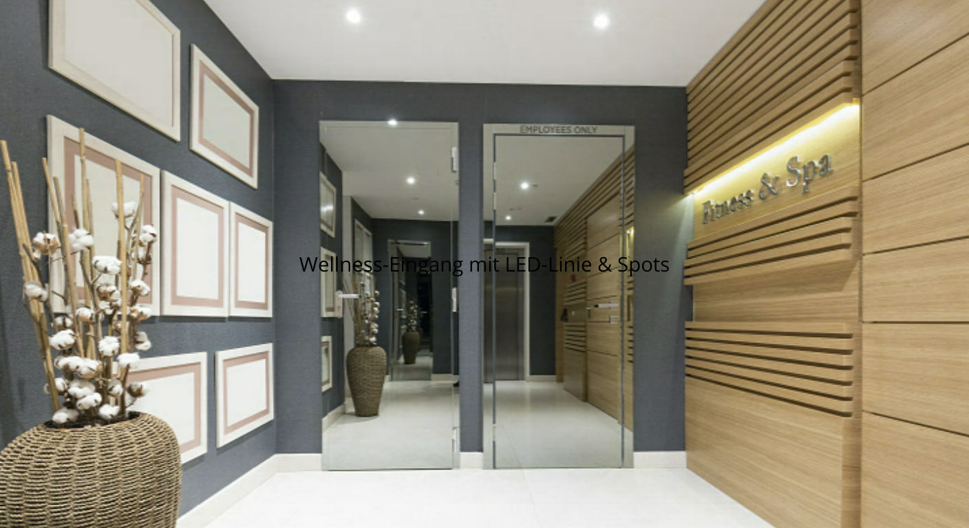Wellness-Eingang mit LED-Linie & Spots