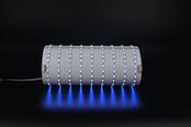 Flexibles LED-Sheet RGBCCT 24,5 x 49 cm – Farbe plus Weiß 3000-6500K, 640 LED, 5500 lm, im Raster kürzbar, 24 V, IP20