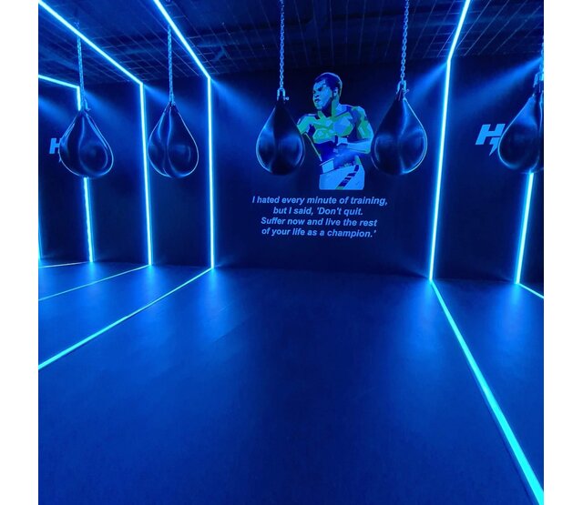 PRO LUMEN RGBCCT LED-Streifen 19W 1250lm 96 LEDs/Meter 48VDC IP20 12mm – 20 Meter