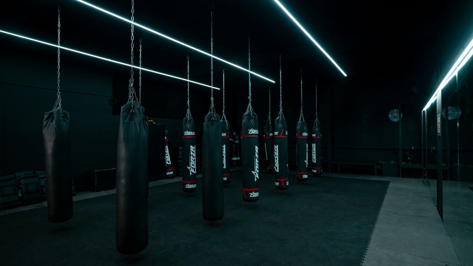 Fitnessstudio Star City Lelystad mit stimmungsvoller LED-Lösung und hochwertiger Ausstrahlung