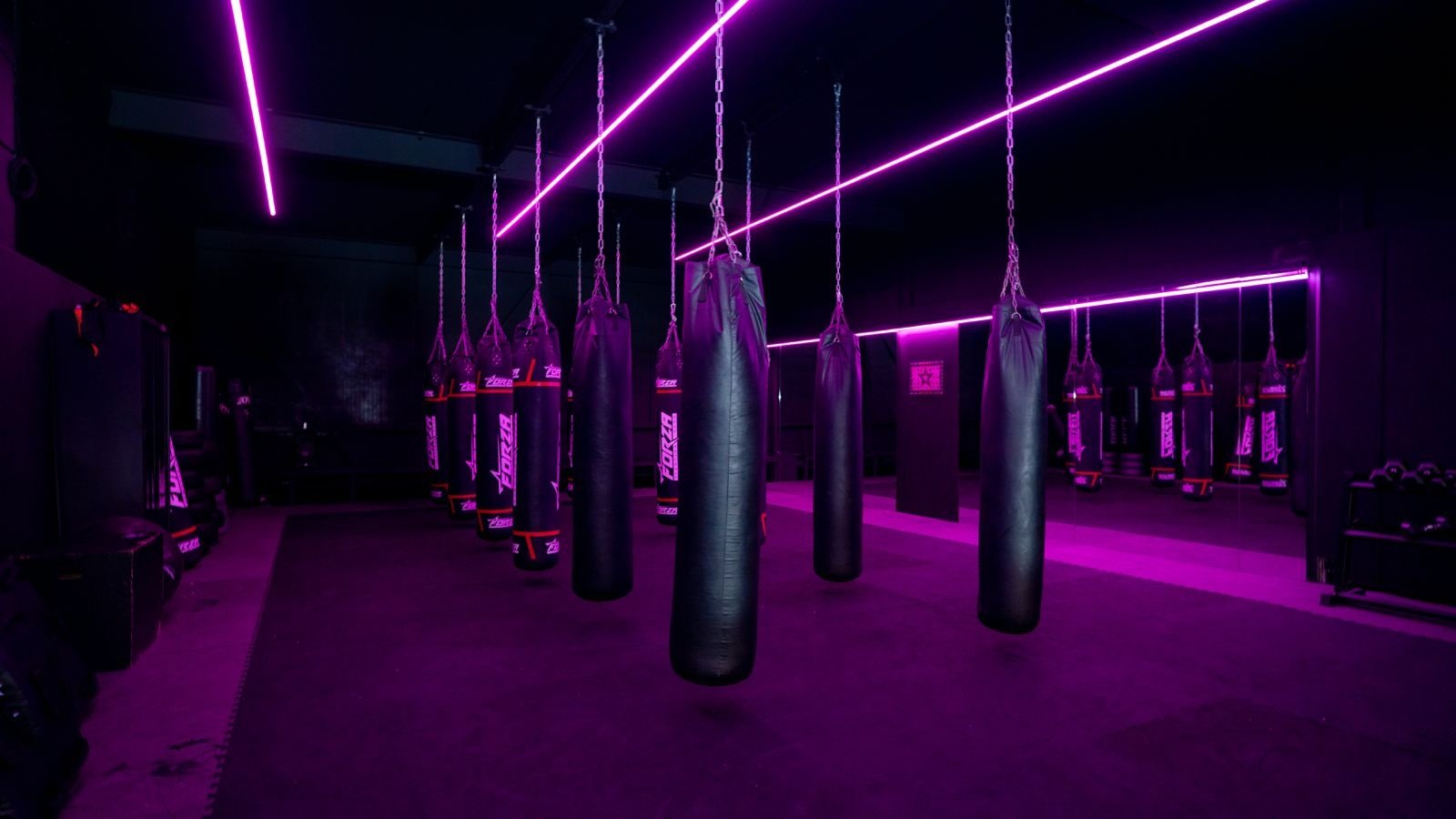 Fitnessstudio Star City Lelystad mit professioneller LED-Beleuchtung und klaren Lichtlinien