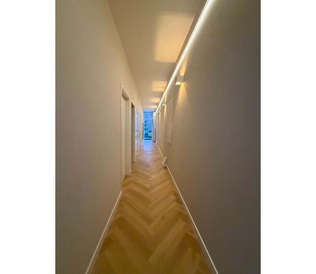 COB Dual White LED-Streifen 24 V – 2700–6500 K, 5 oder 10 Meter