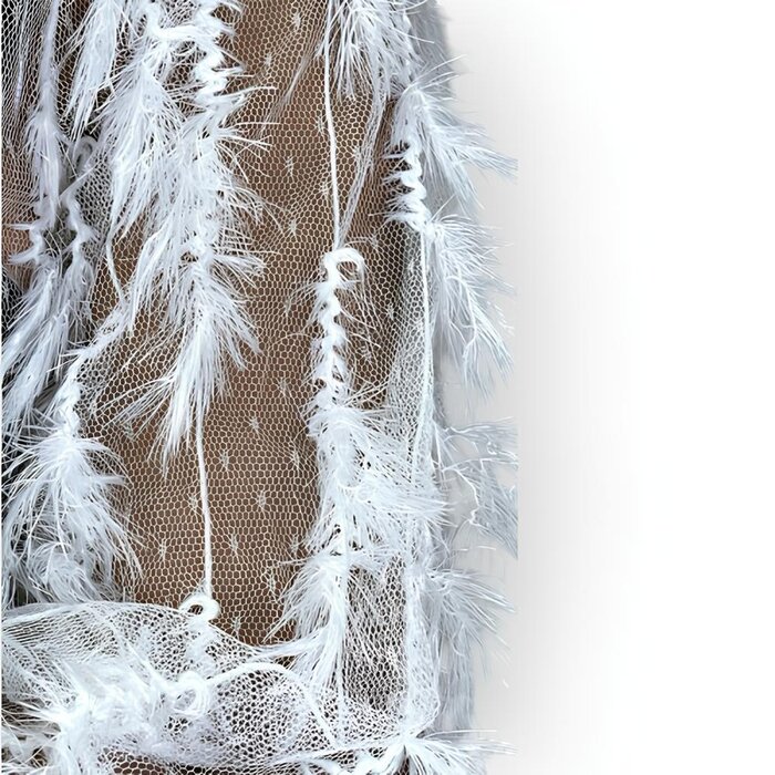 Feather Elegance | Witte Col top - Geborduurd Visnet - Veren