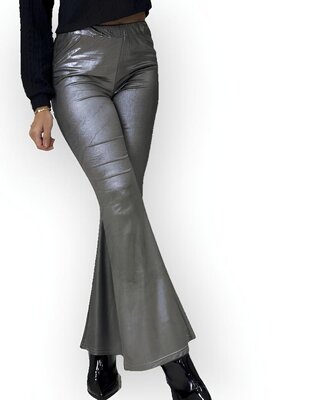 Ziva | Flare Broek in Zilver Metallic - Dames