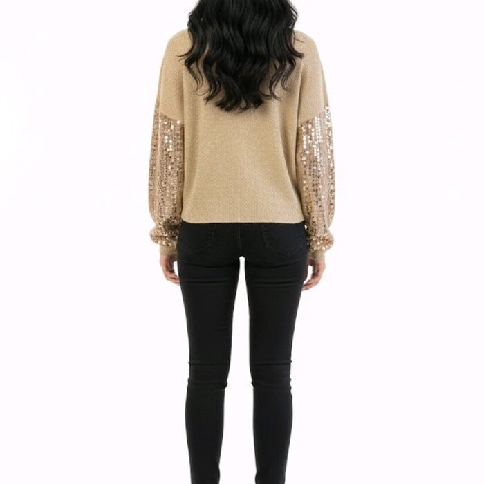 Palvéra – Crop Trui Met Pailletten Voorzijde en Feestelijke Look