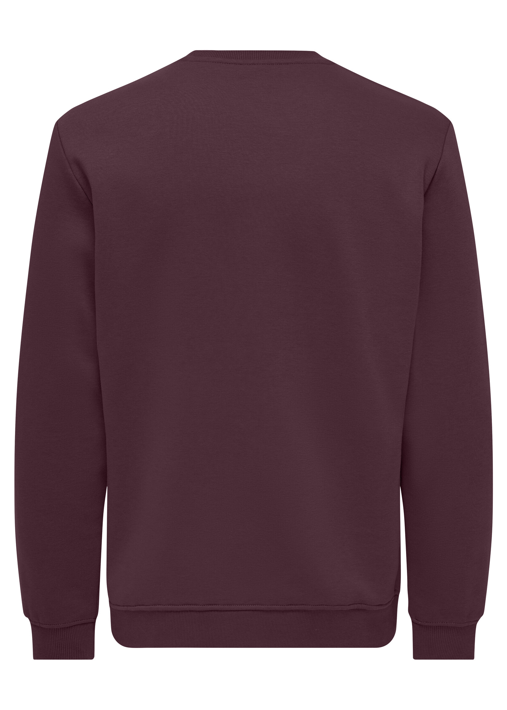 ONLY & SONS CONNOR REG SWEAT TRUI