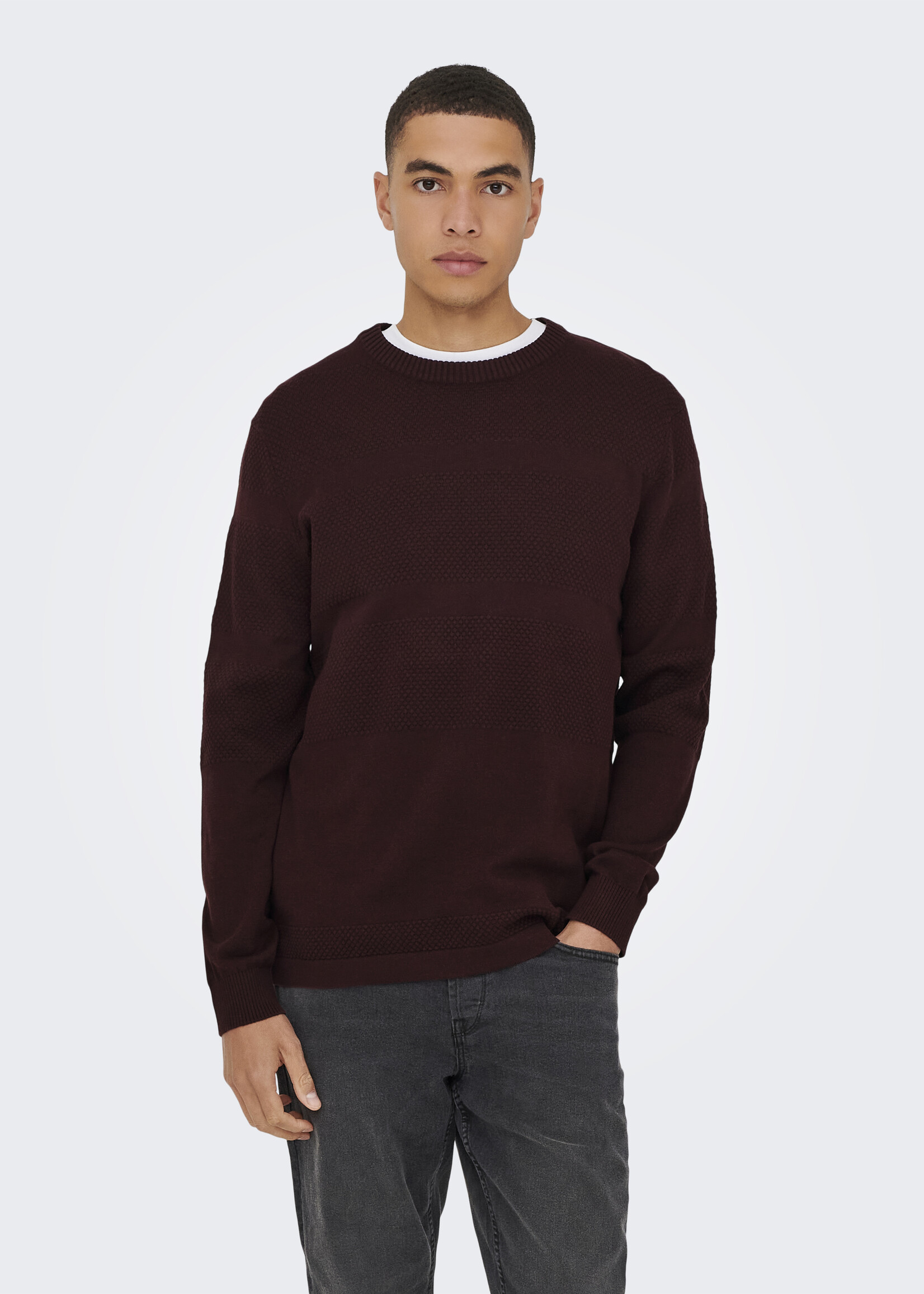 ONLY & SONS MALIK REG CREW KNIT