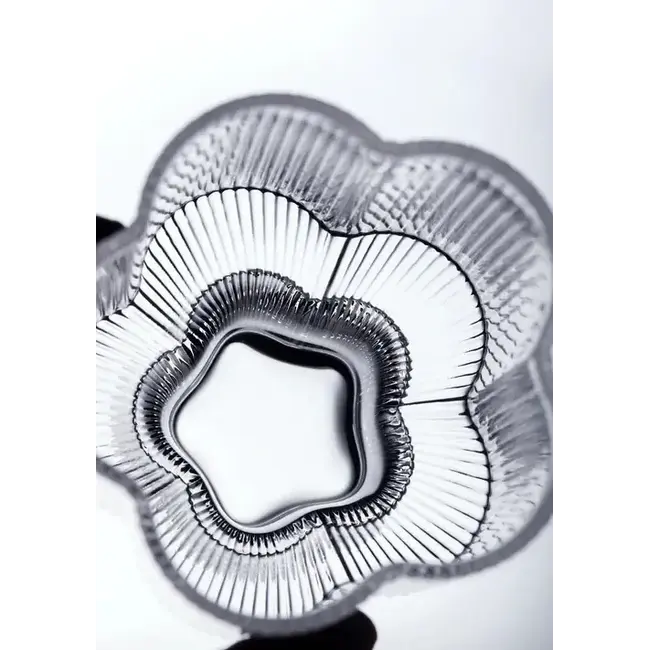 Bavary Klaver Lang Drinkglazen | 360ml