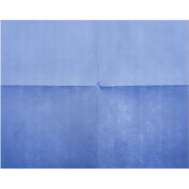 MyTuch | Reinigingsdoeken | Blauw | 10 stuks