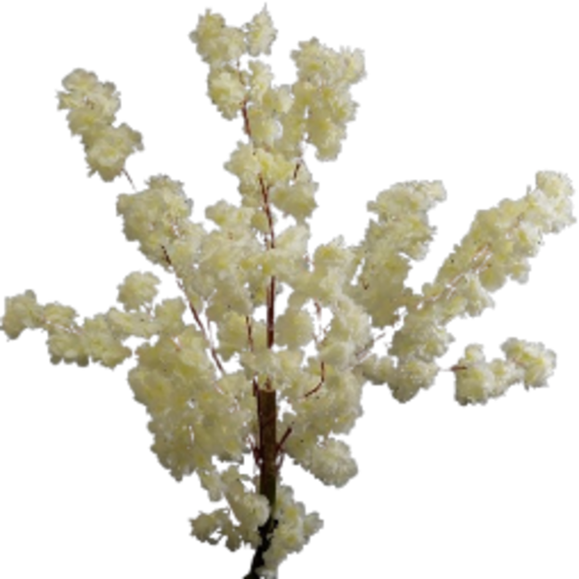 Bloesemboom | 180 cm | Wit