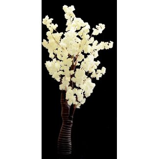 Bloesemboom | 180 cm | Wit