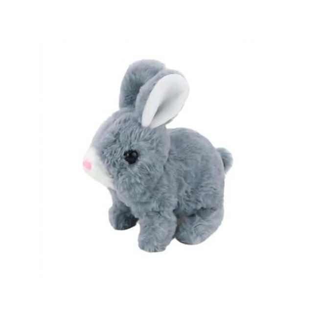 Speelgoed | Konijntjes