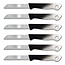Bavary Bavary | Set Schilmesjes | 6 Stuks