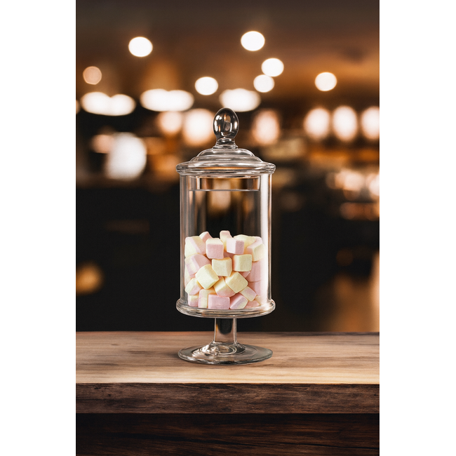 Glozini | Glazen Voorraadpot Met Deksel