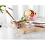 Trendmax Luxe Dessert- & Fruitschaal op Voet | Kristalhelder Design