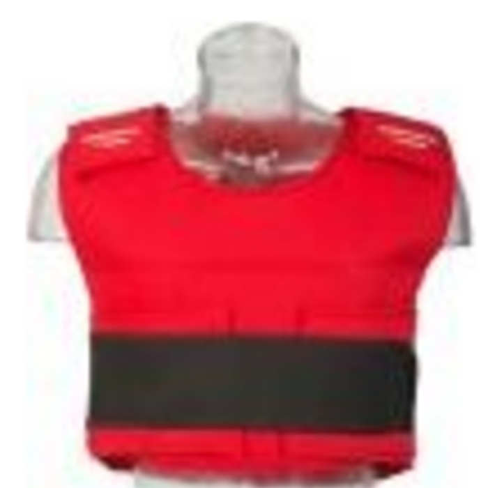 deKartshop.nl  body protector