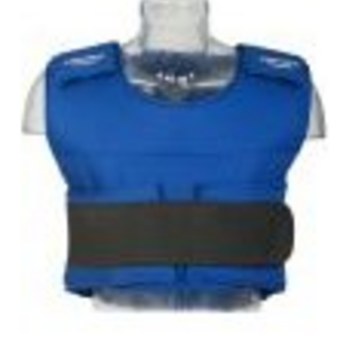 deKartshop.nl  body protector