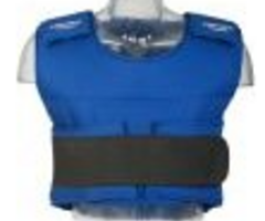 deKartshop.nl  body protector