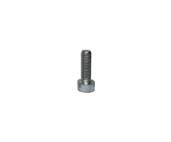 Cilinderkopschroef M5×10 mm (50 stuks)