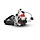 Rotax Junior max compleet