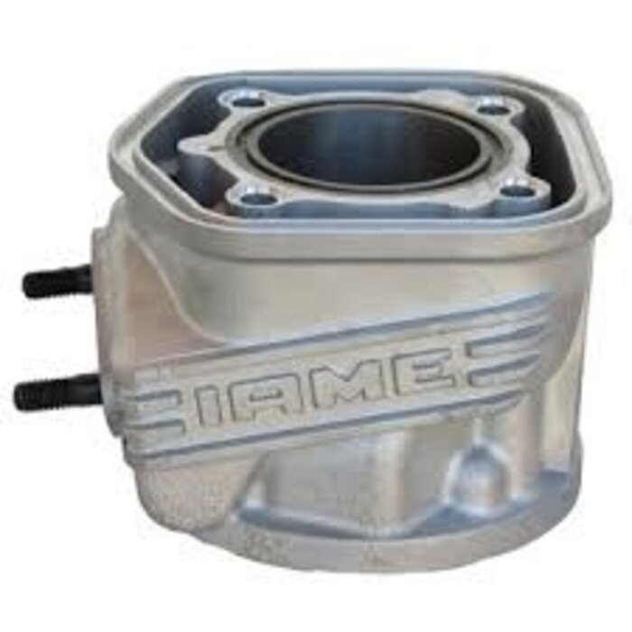 Iame Iame X30 cilinder