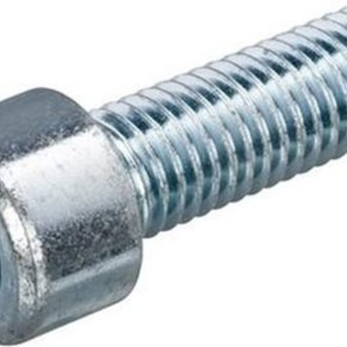 TM TM KZ cilinderkop bout M6 x30