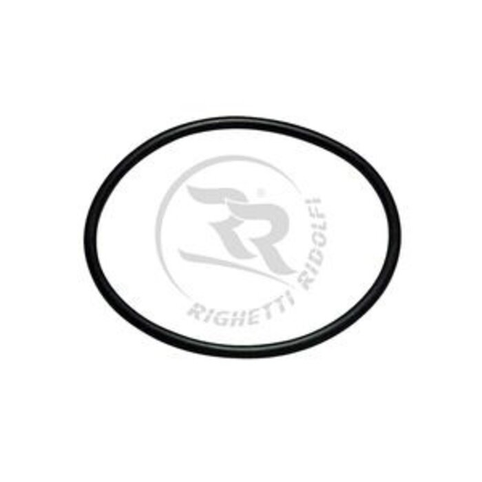 Righetti Ridolfi RR opvang/ overloop tank o-ring