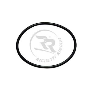 Righetti Ridolfi RR opvang/ overloop tank o-ring