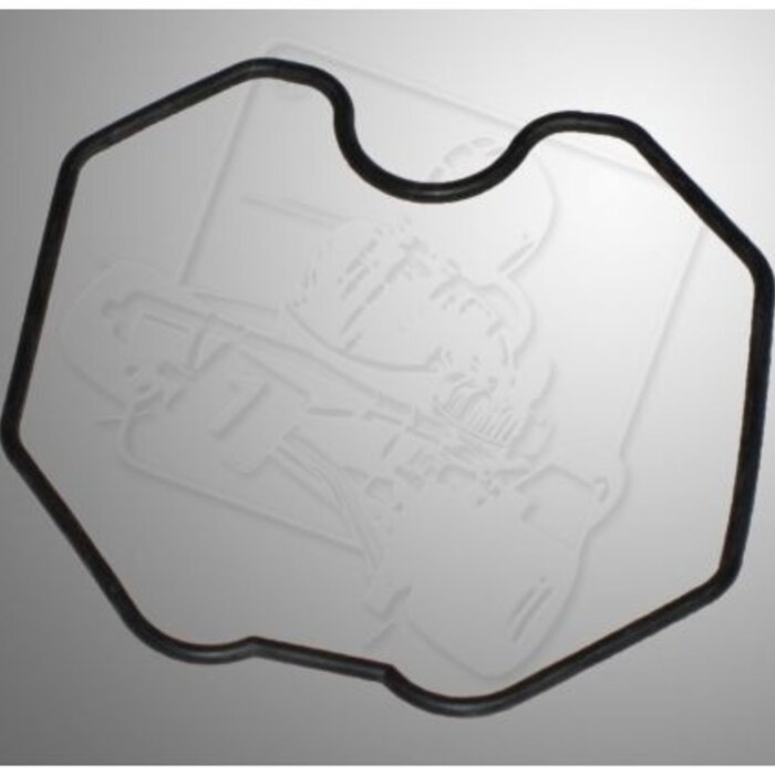 Briggs and Stratton Briggs and Stratton WF vlotter kamer pakking