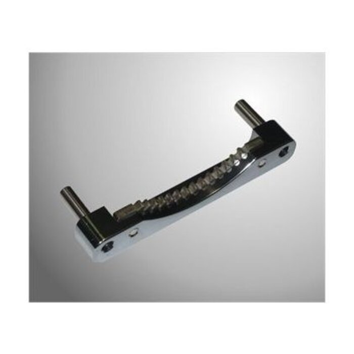 Goldspeed Goldspeed starterkrans blokkeer tool voor Rotax max
