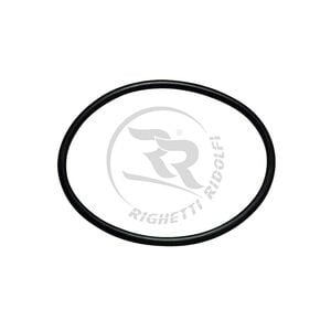 Righetti Ridolfi RR Waterpomp riem